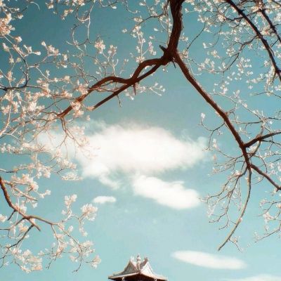 幻影剑灵官方版(暂未上线)v1.1 安卓最新版